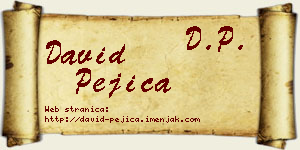 David Pejica vizit kartica